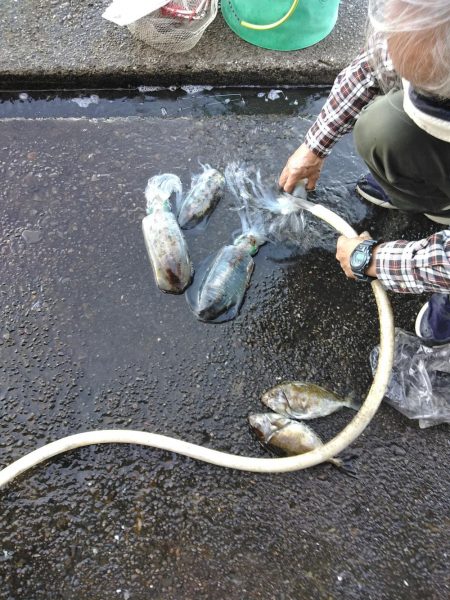 フカセ‥最高ですネ・・