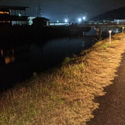 拝啓カンパリ様