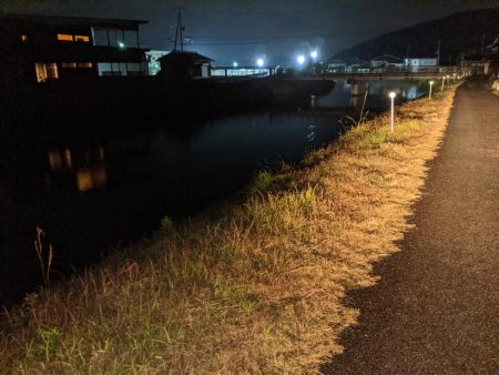 拝啓カンパリ様