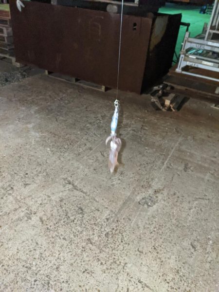 初めてのヒイカ釣り