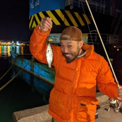 ヒイカ、時々セイゴちゃん。