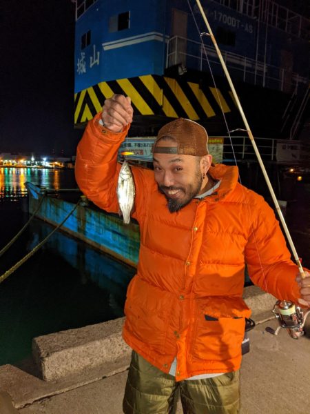 ヒイカ、時々セイゴちゃん。