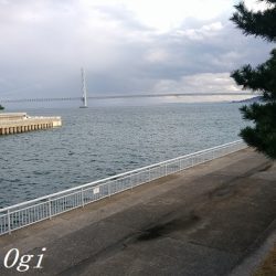 カワハギ&タチウオの二本立て