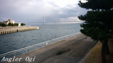 カワハギ&タチウオの二本立て