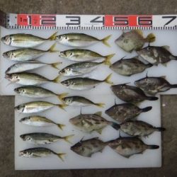 のとじま臨海公園海づりセンター 釣果