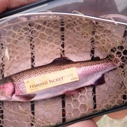 フィッシングレイクたかみや 釣果