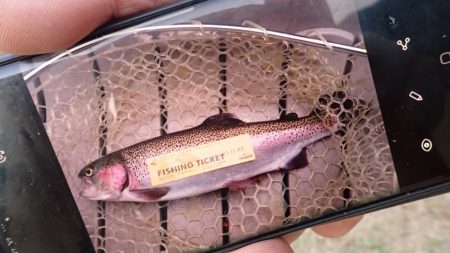 フィッシングレイクたかみや 釣果