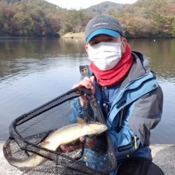 フィッシングレイクたかみや 釣果