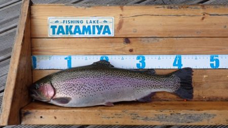 フィッシングレイクたかみや 釣果