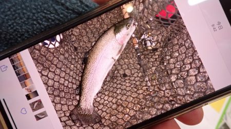 フィッシングレイクたかみや 釣果