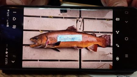 フィッシングレイクたかみや 釣果