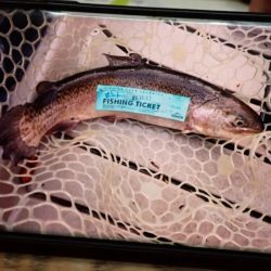 フィッシングレイクたかみや 釣果