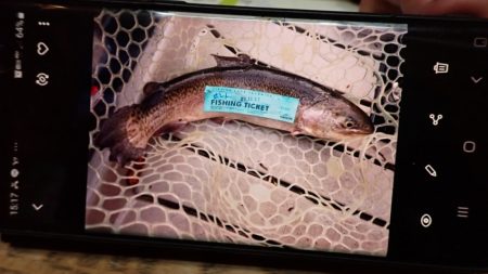 フィッシングレイクたかみや 釣果