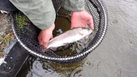 フィッシングレイクたかみや 釣果