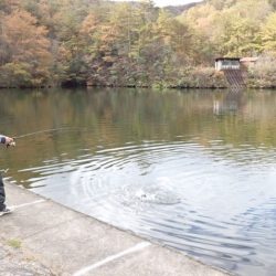 フィッシングレイクたかみや 釣果