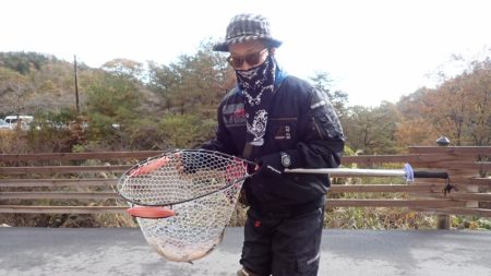 フィッシングレイクたかみや 釣果