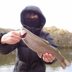 フィッシングレイクたかみや 釣果