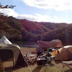 フィッシングレイクたかみや 釣果