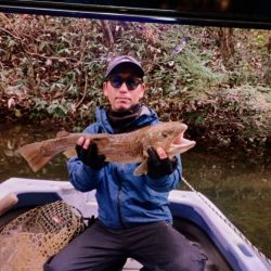 フィッシングレイクたかみや 釣果