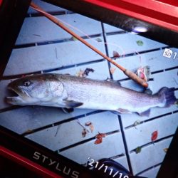 フィッシングレイクたかみや 釣果