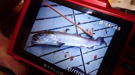 フィッシングレイクたかみや 釣果