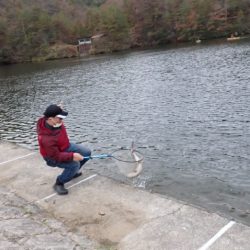 フィッシングレイクたかみや 釣果