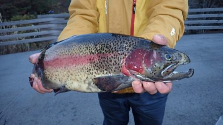 フィッシングレイクたかみや 釣果