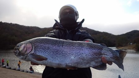 フィッシングレイクたかみや 釣果