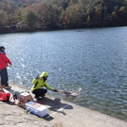 フィッシングレイクたかみや 釣果