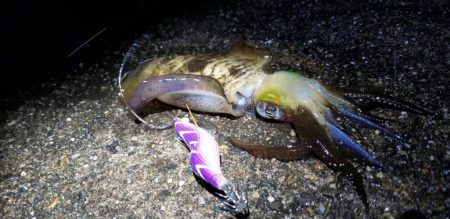 寒さに耐えながらの ランガン