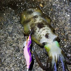 寒さに耐えながらの　ランガン