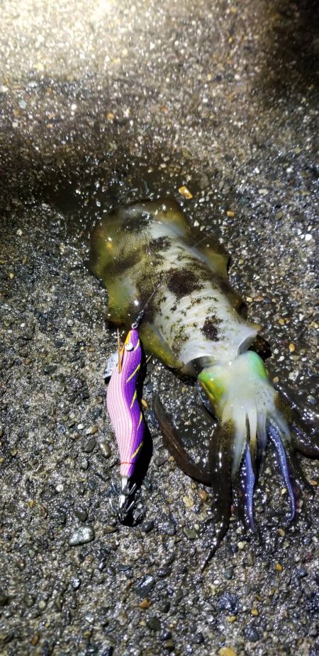 寒さに耐えながらの　ランガン