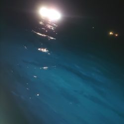 リベンジのナイトティップラン