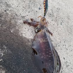 寒さに耐えながらの ランガン