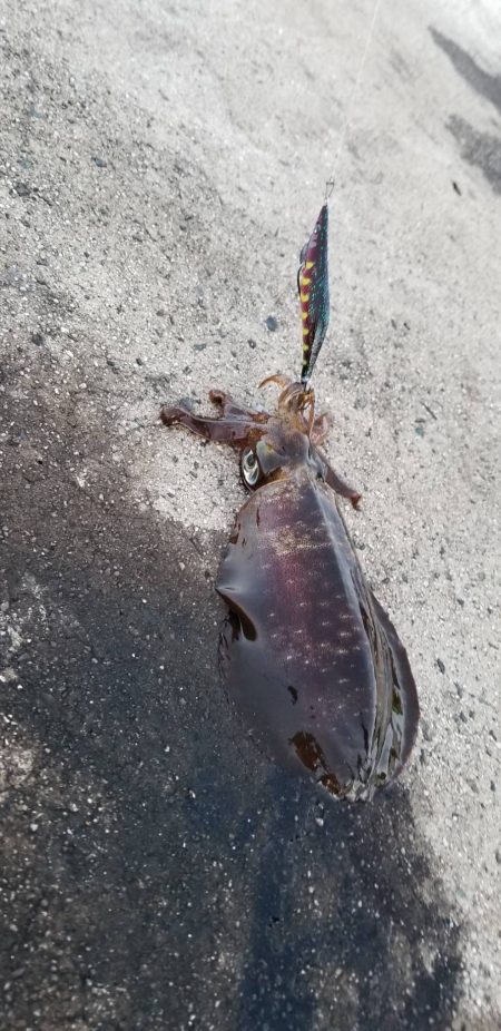 寒さに耐えながらの ランガン