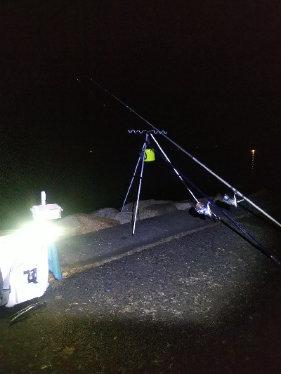 苅屋海岸のキス釣り
