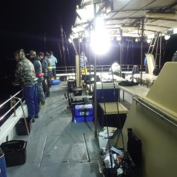 リベンジのナイトティップラン