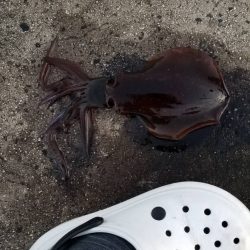 寒さに耐えながらの ランガン