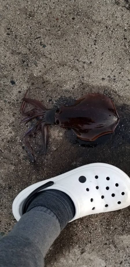 寒さに耐えながらの ランガン