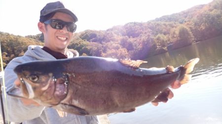 フィッシングレイクたかみや 釣果