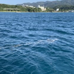本部釣りイカダ 釣果
