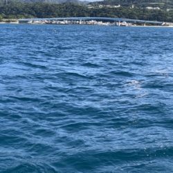 本部釣りイカダ 釣果