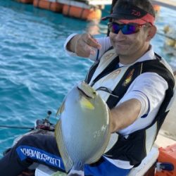 本部釣りイカダ 釣果