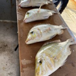 本部釣りイカダ 釣果