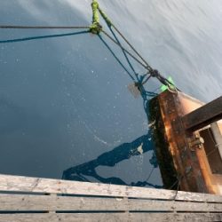 本部釣りイカダ 釣果