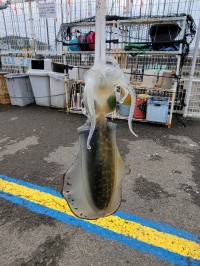 和歌山マリーナシティ釣り公園 釣果