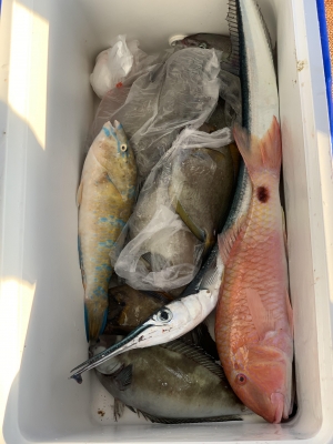 本部釣りイカダ 釣果