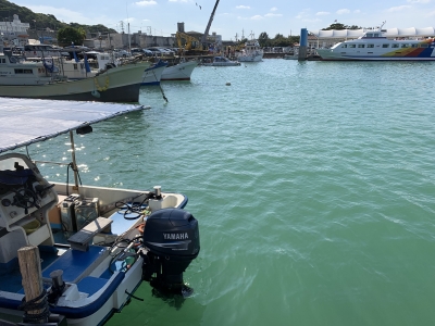 本部釣りイカダ 釣果