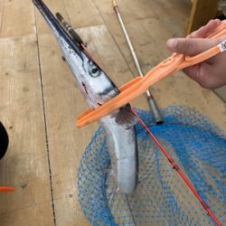 本部釣りイカダ 釣果