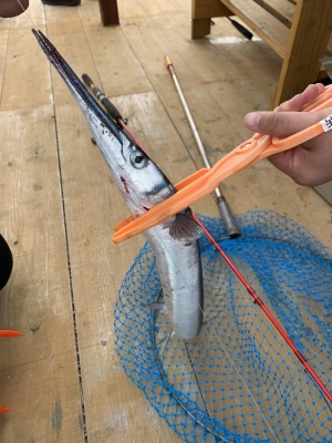 本部釣りイカダ 釣果